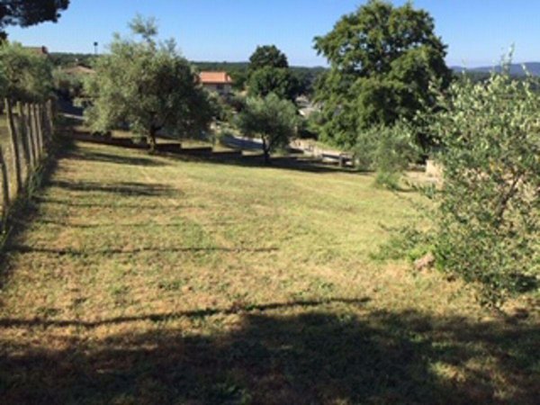 terreno edificabile in vendita a Manziana