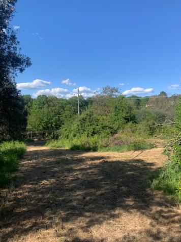 terreno agricolo in vendita a Manziana