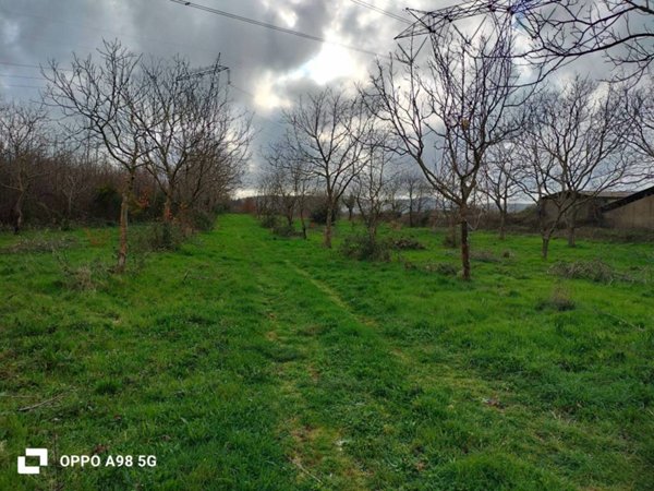 terreno agricolo in vendita a Manziana