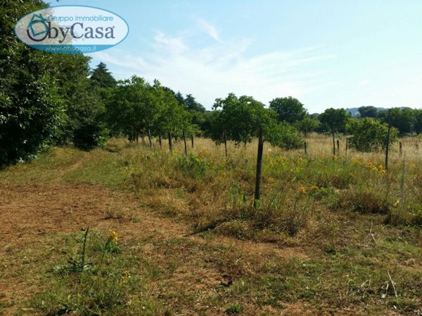 casa indipendente in vendita a Manziana
