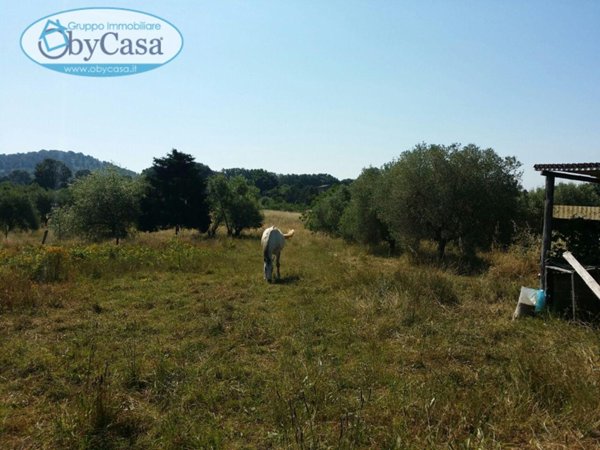 casa indipendente in vendita a Manziana
