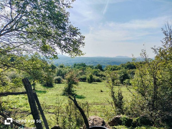 terreno agricolo in vendita a Manziana in zona Quadroni