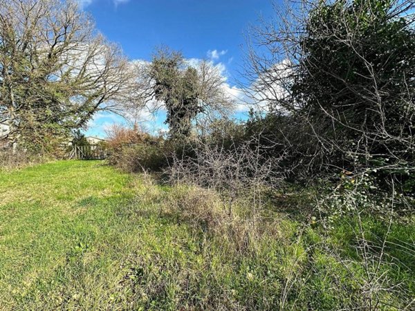 terreno agricolo in vendita a Manziana