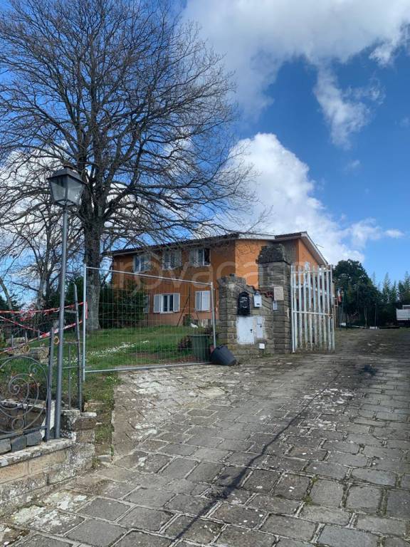 appartamento in vendita a Manziana