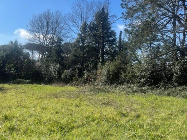 terreno agricolo in vendita a Manziana
