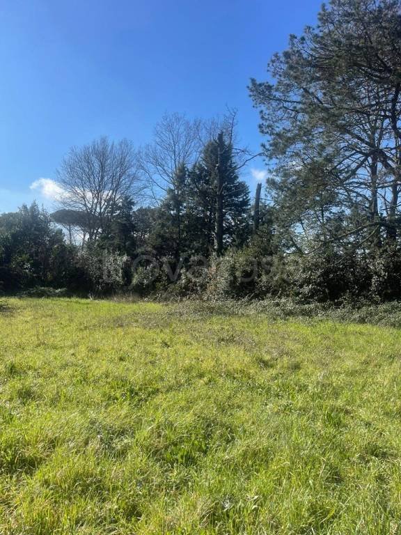 terreno agricolo in vendita a Manziana