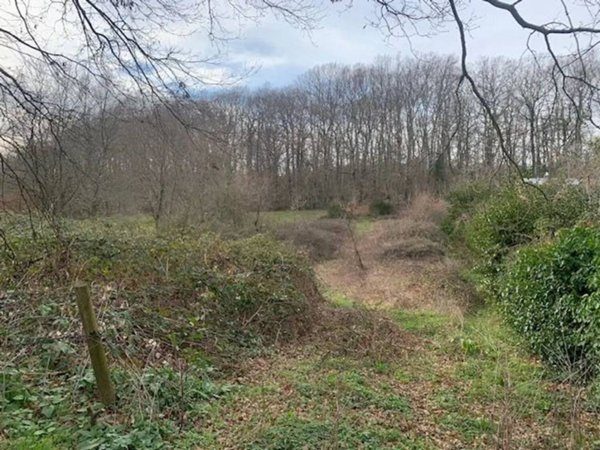terreno agricolo in vendita a Manziana