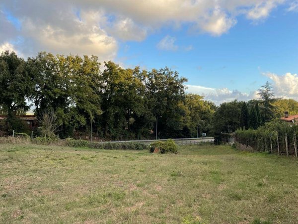 terreno agricolo in vendita a Manziana