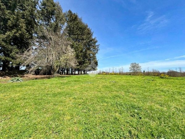 terreno agricolo in vendita a Manziana