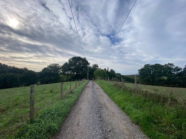terreno agricolo in vendita a Manziana