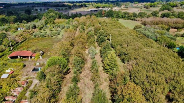 terreno agricolo in vendita a Manziana
