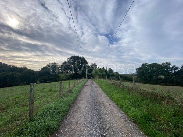 terreno agricolo in vendita a Manziana