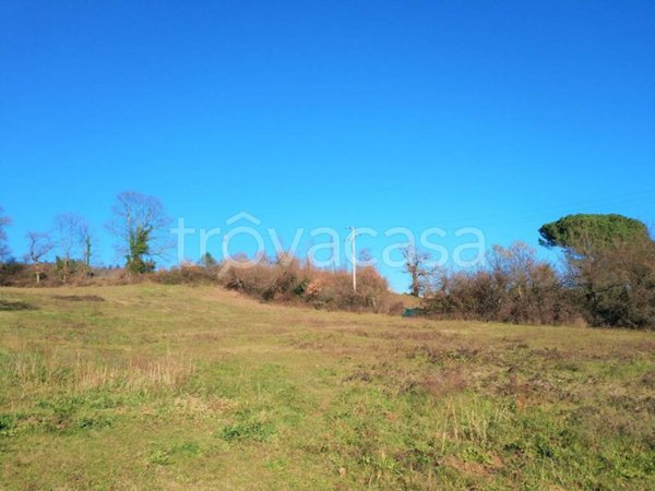 terreno agricolo in vendita a Manziana
