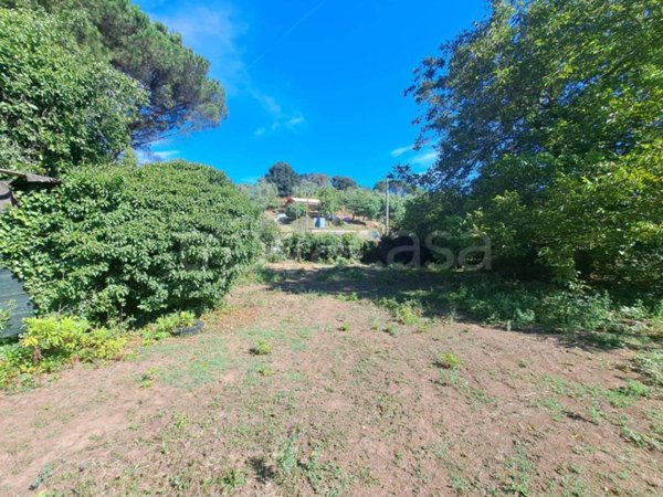 terreno agricolo in vendita a Manziana
