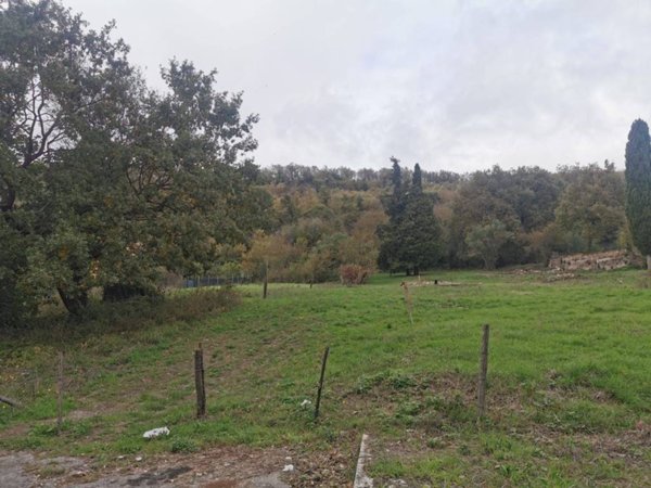 terreno agricolo in vendita a Manziana