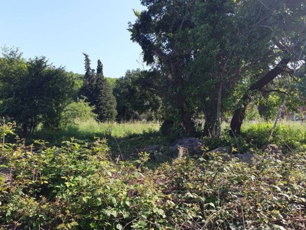 terreno agricolo in vendita a Manziana