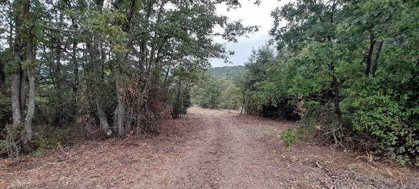 terreno agricolo in vendita a Manziana