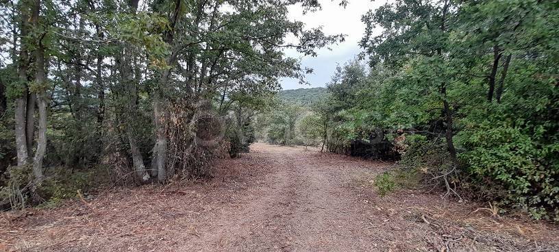 appartamento in vendita a Manziana