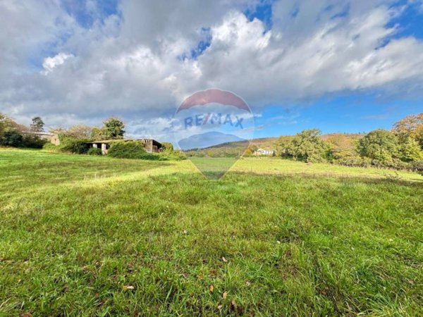 terreno agricolo in vendita a Manziana