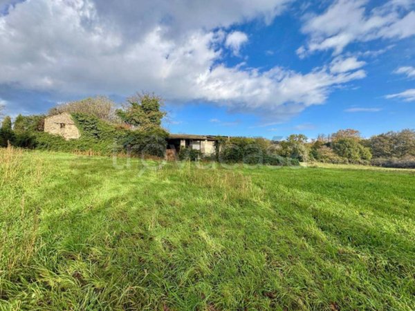 terreno agricolo in vendita a Manziana