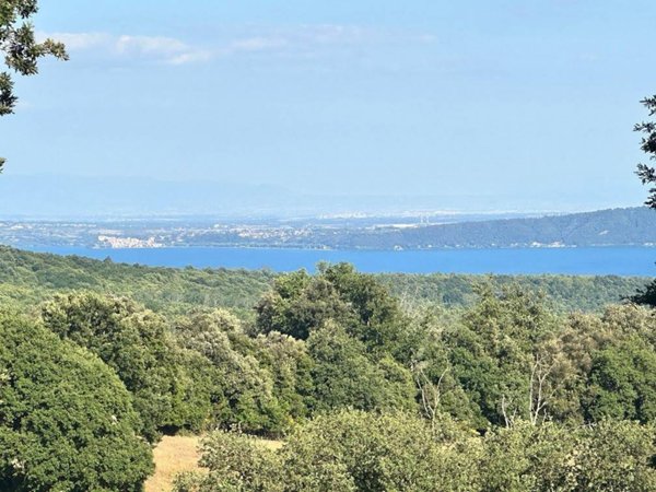 terreno agricolo in vendita a Manziana in zona Quadroni
