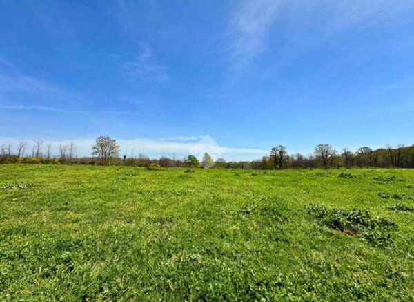 terreno agricolo in vendita a Manziana