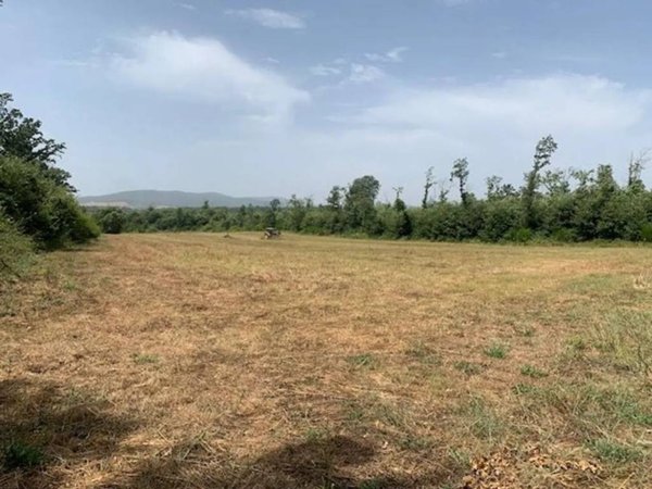 terreno agricolo in vendita a Manziana