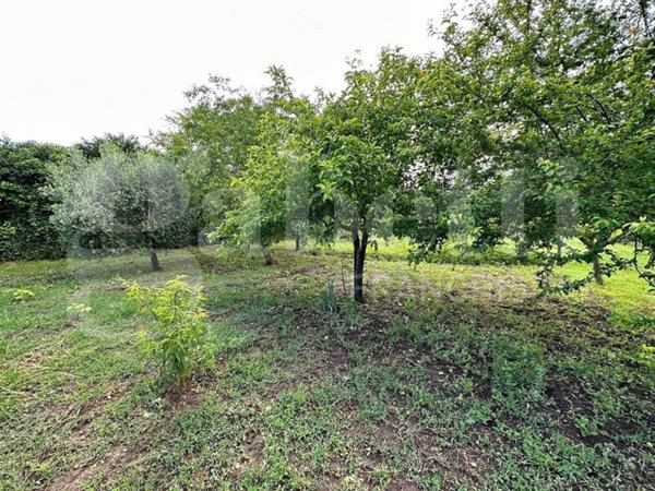 terreno agricolo in vendita a Manziana