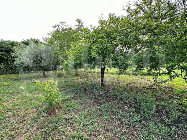 terreno agricolo in vendita a Manziana