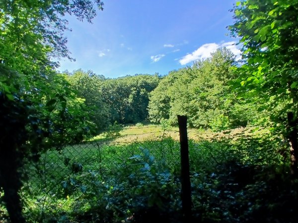 terreno agricolo in vendita a Manziana in zona Quadroni