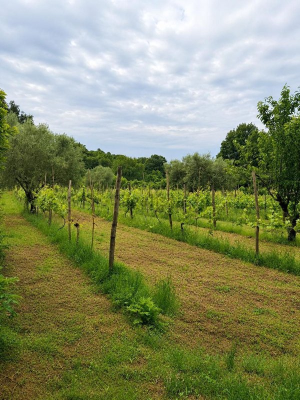 locale di sgombero in vendita a Manziana in zona Quadroni