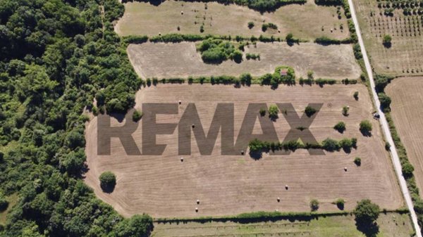 terreno agricolo in vendita a Manziana