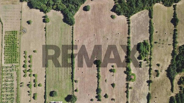 terreno agricolo in vendita a Manziana