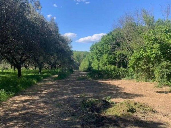 terreno in vendita a Manziana