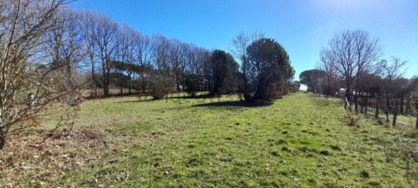 terreno in vendita a Manziana