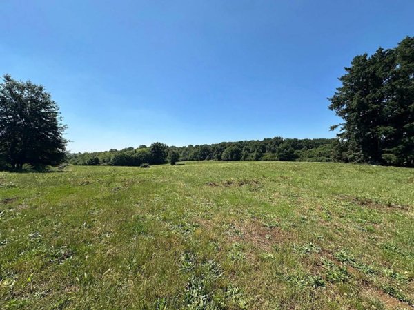 terreno in vendita a Manziana