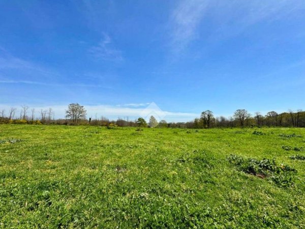terreno in vendita a Manziana