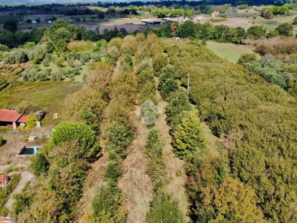 terreno in vendita a Manziana