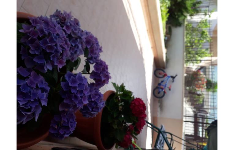 appartamento in vendita a Marcellina