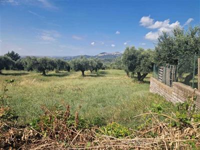 terreno agricolo in vendita a Marcellina