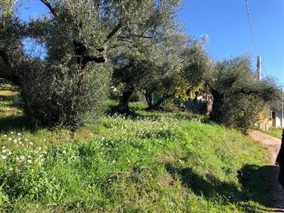 casa indipendente in vendita a Marcellina