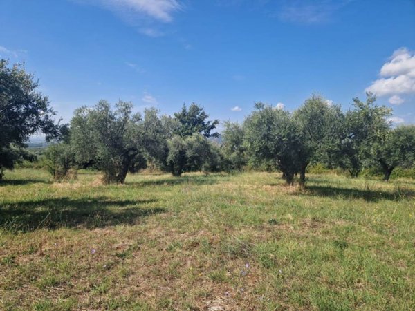 terreno agricolo in vendita a Marcellina