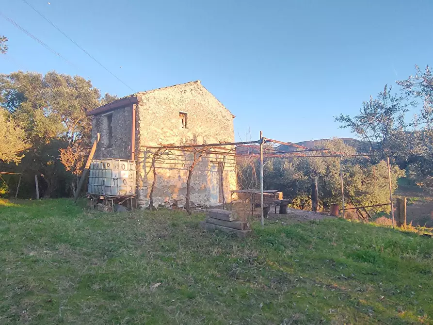 terreno agricolo in vendita a Marcellina
