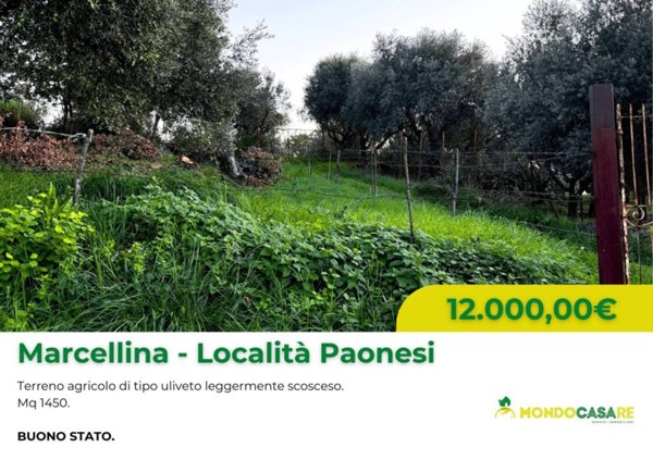 terreno agricolo in vendita a Marcellina