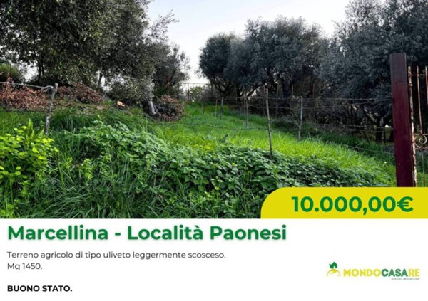 terreno agricolo in vendita a Marcellina