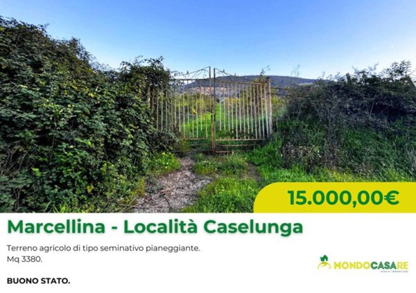 terreno agricolo in vendita a Marcellina