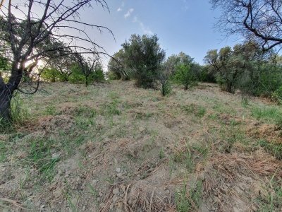 terreno agricolo in vendita a Marcellina