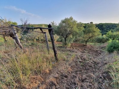 terreno agricolo in vendita a Marcellina