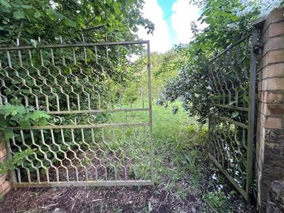 terreno agricolo in vendita a Marcellina