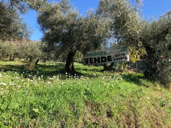 casa indipendente in vendita a Marcellina